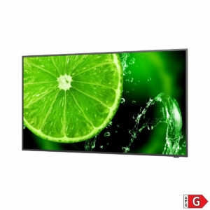 S55010968_1 S55010968_1
